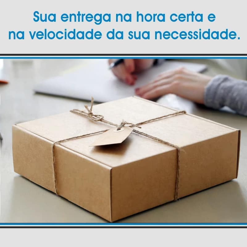 Empresa de Transporte de Encomendas Interestadual Alto da Lapa - Transporte Encomendas São Paulo